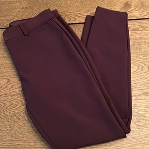 Plum Dress Pant Express